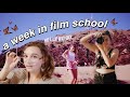 college week in my life: film school @ CSULB!