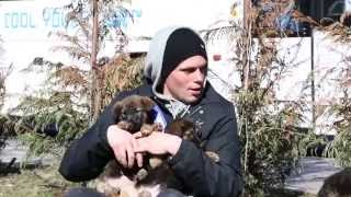 Gus Kenworthy and the Sochi Pups: A Fresh Start