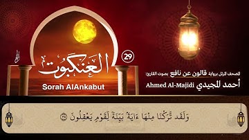 سورة العنكبوت ( مكتوبة ومرتلة برواية قالون ) القارئ: أحمد المجيدي