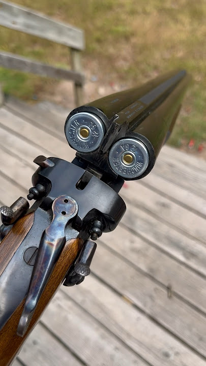 Double Barrel Coach Gun