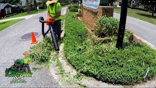 Front Entrance Landscaping for Neighborhood (Trimming Overgrown Shrubs& ECHO Shred N Vac)