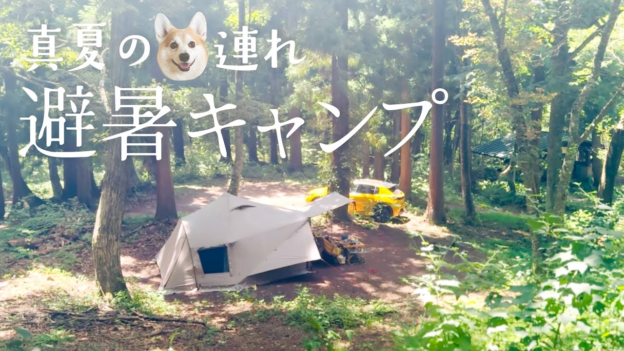 【犬とキャンプ】真夏でも涼しい高原キャンプ／ハチ高原（兵庫）