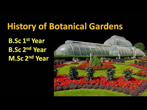 वीडियो: मिसौरी बॉटनिकल गार्डन में करने के लिए शीर्ष चीजें
