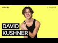 David Kushner "Daylight" Official Lyrics & Meaning | Verified