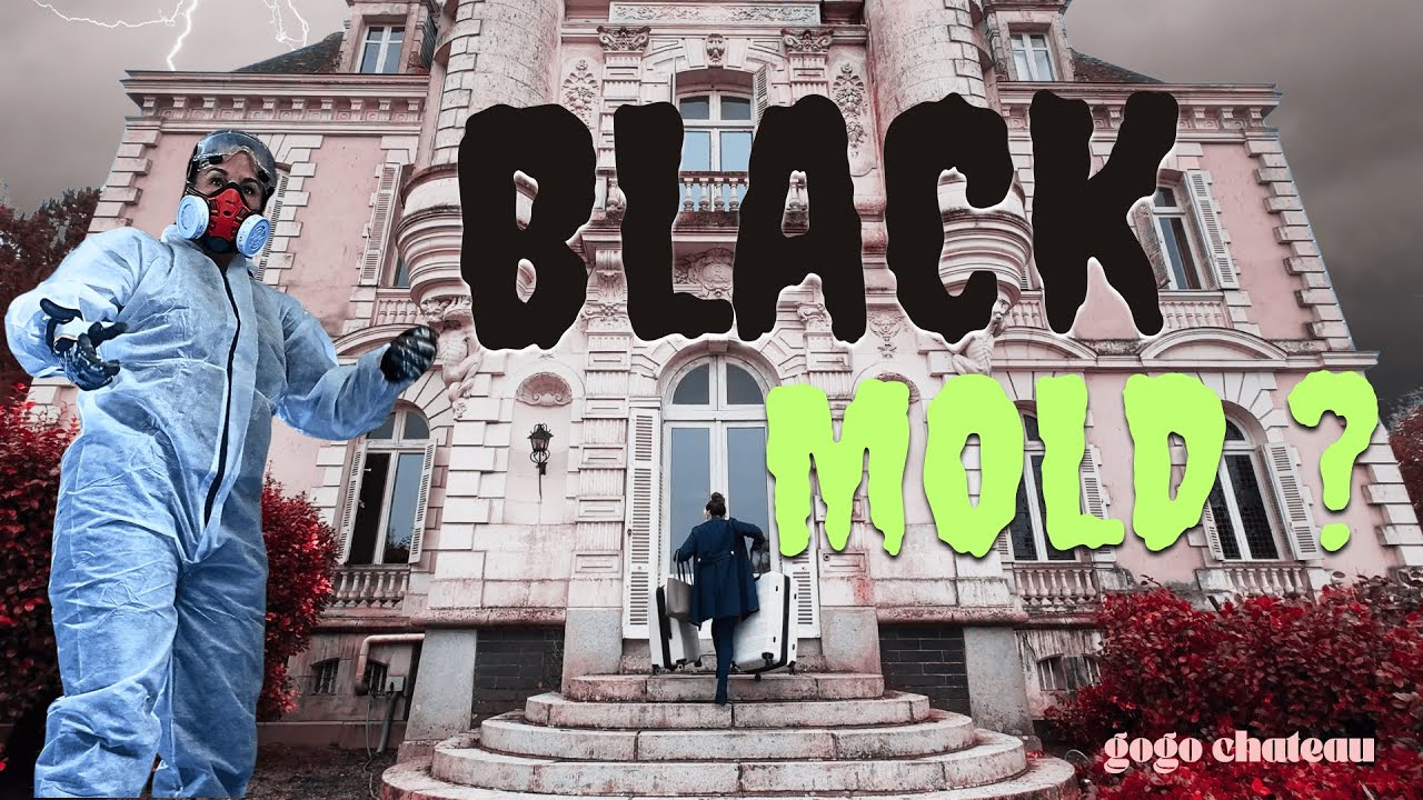 29. Black Mold at the Château? | What Evil Lurks In These Walls?