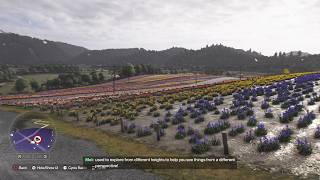 I feel like I f*cked up playing this game early... (Forza Horizon 6 Horizon Japan)