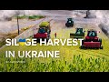 BIG CORN SILAGE HARVEST IN UKRAINE 2022 | John Deere &amp; Krone (4K)