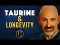 TAURINE: A Powerful Tool In The War Against Aging? [2023]