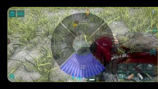 Taming a MAX LEVEL CARCHARODONTOSAURUS | Ark Ultimate Edition|
