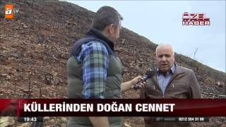 Küllerinden Doğan Cennet - 31.03.2015