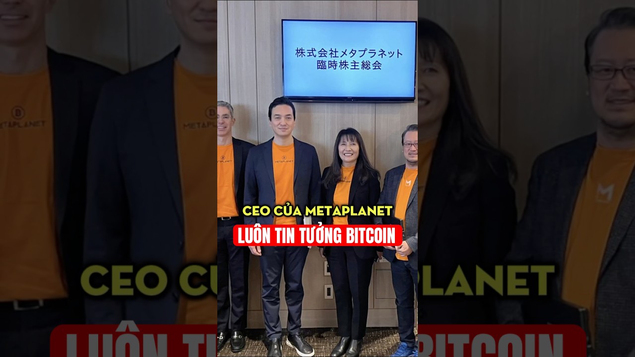 Metalanet đã "Tất tay" 