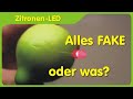 Ist eine Zitronen-Einzelzelle für eine LED geeignet? - Reaktion auf Fakevideo