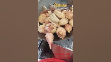 Máy rửa chà vỏ khoai lang, khoai tây, khoai mỳ, cà rốt, củ cải, củ gừng, đậu phộng  #short