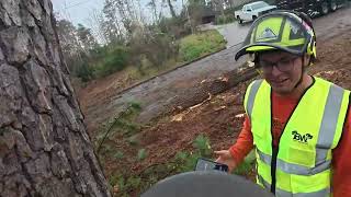 BW Tree Removal - Join The Team