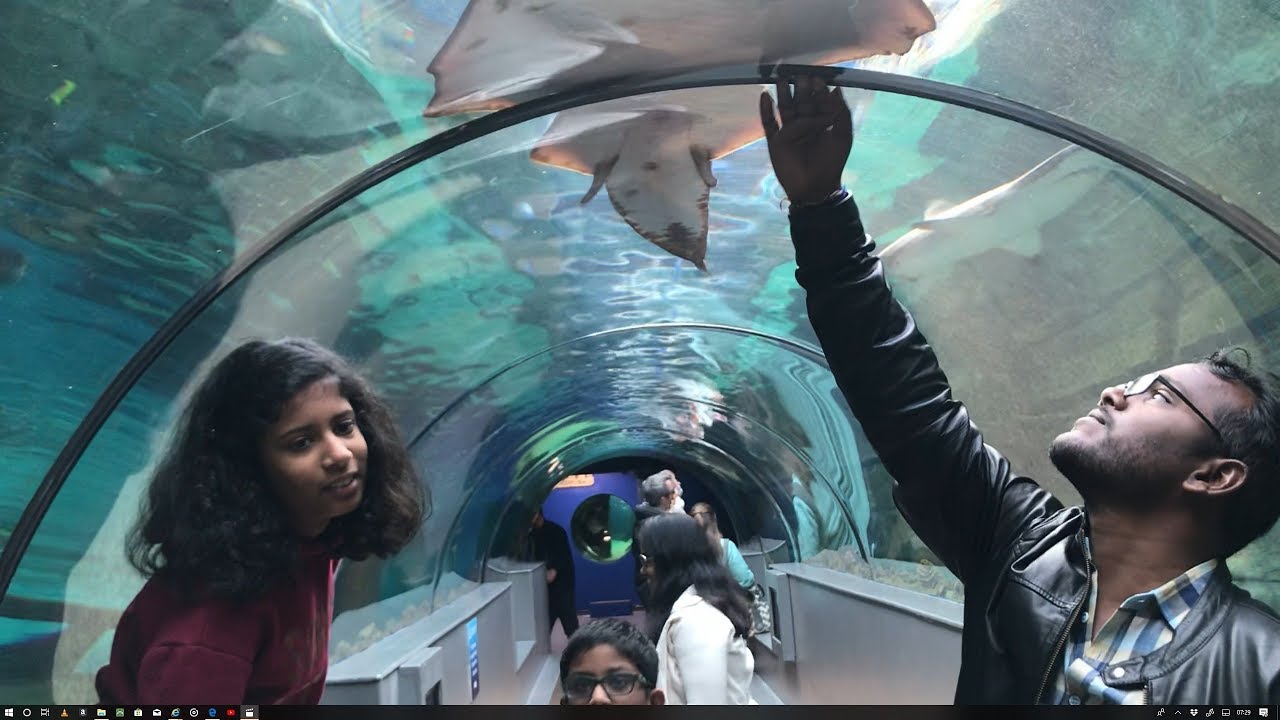 The Bournemouth Aquarium Oceanarium ( Part 2 ) // Me Subharam Vlogs