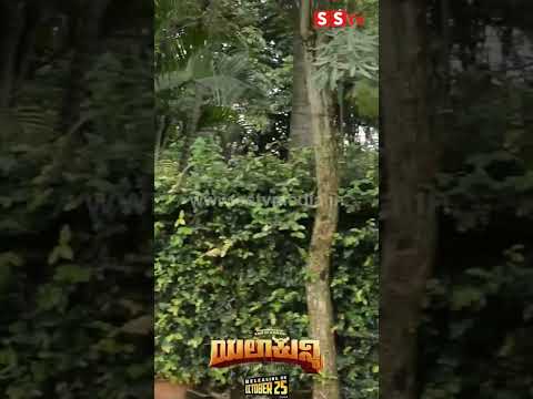 ವಜ್ರಮುನಿ ಅವರ ಫಾರ್ಮ್ ಹೌಸ್#kannadaactress #kannadaindustry #trending #explorepage #sstv ವಜ್ರಮುನಿ ಅವರ ಫಾರ್ಮ್ ಹೌಸ್#kannadaactress #kannadaindustry #trending #explorepage #sstv