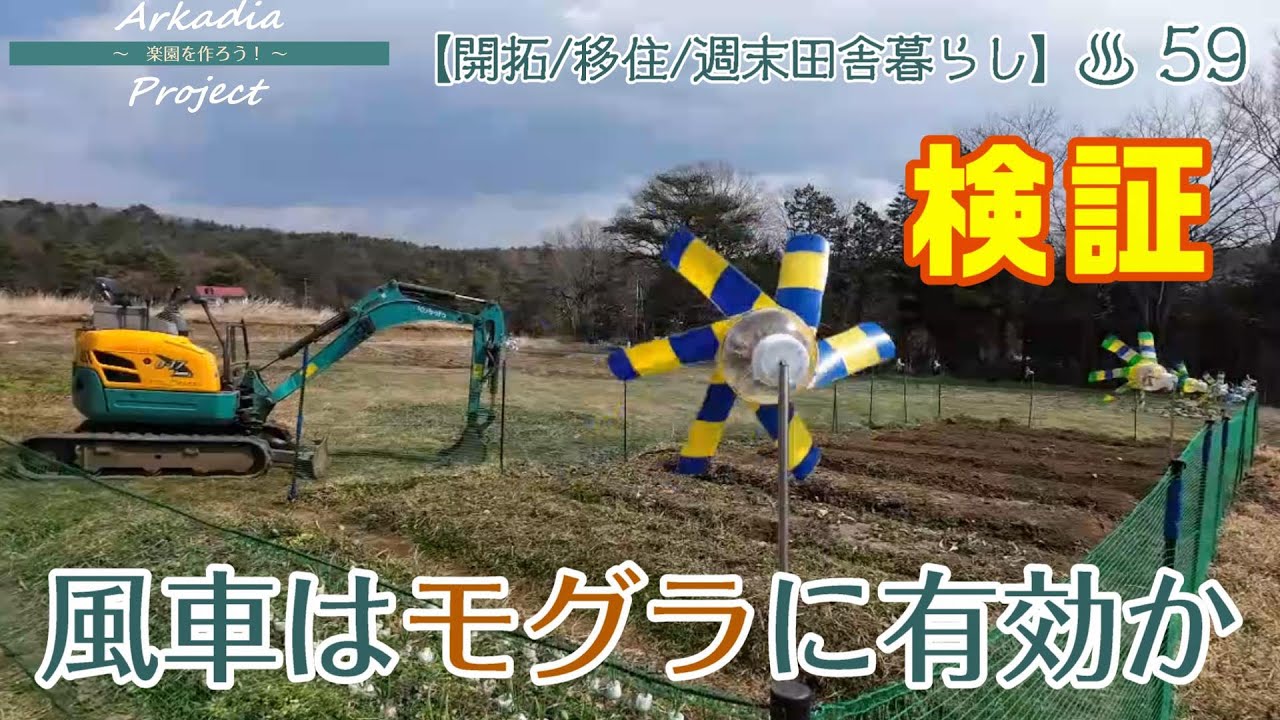 畑のモグラ対策(１)【開拓/移住/週末田舎暮らし】