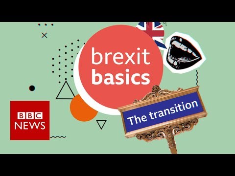 Brexit: The transition period explained - BBC News