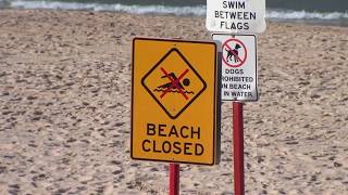 Woman critically injured in shark attack in Australia