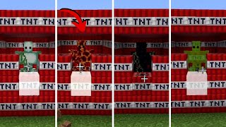 TNT vs Every Golems in Minecraft | Which golem will survive 