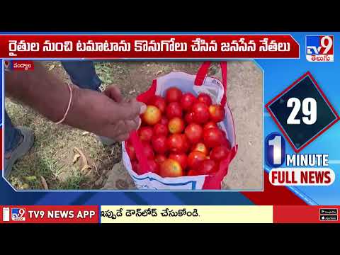 Nandyala : ఫ్రీ.. ఫ్రీ.. రండి బాబు రండి..! రైతులకు గిట్టుబాటులేక టమాటాలు ఉచితంగా పంపిణీ - TV9 - TV9