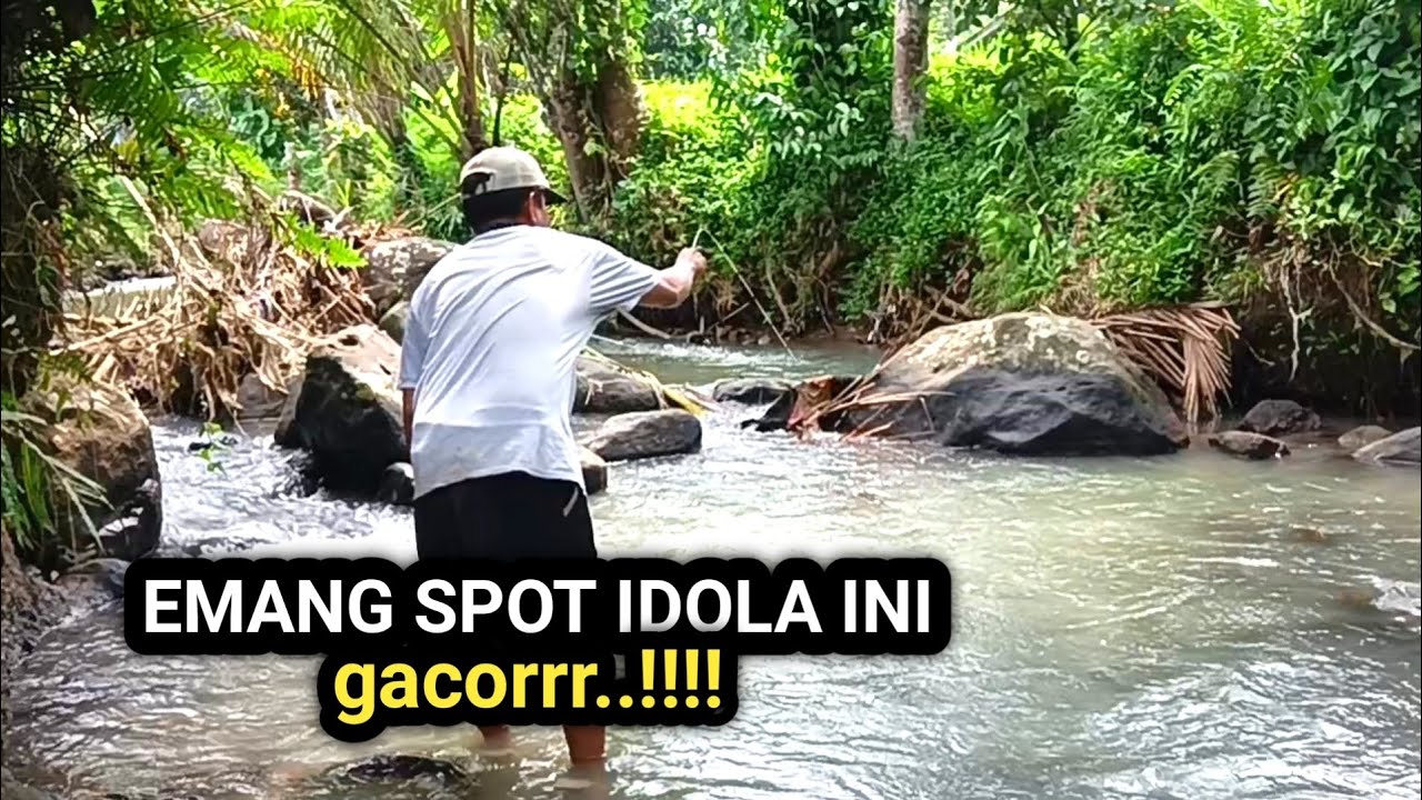 best fly fishing ..?? || microfishing || mancing ikan wader || mancing mania|| 