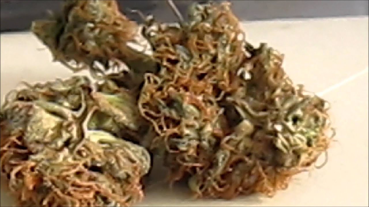 Cannabis review of Querkle vs. Black Ice~LokiGen