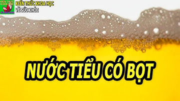 Nước tiểu có bọt là bệnh gì tại sao đi tiểu nước tiểu lại có bọt