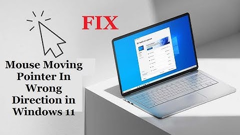 Fix - Mouse Moving Pointer In Wrong Direction in Windows 11