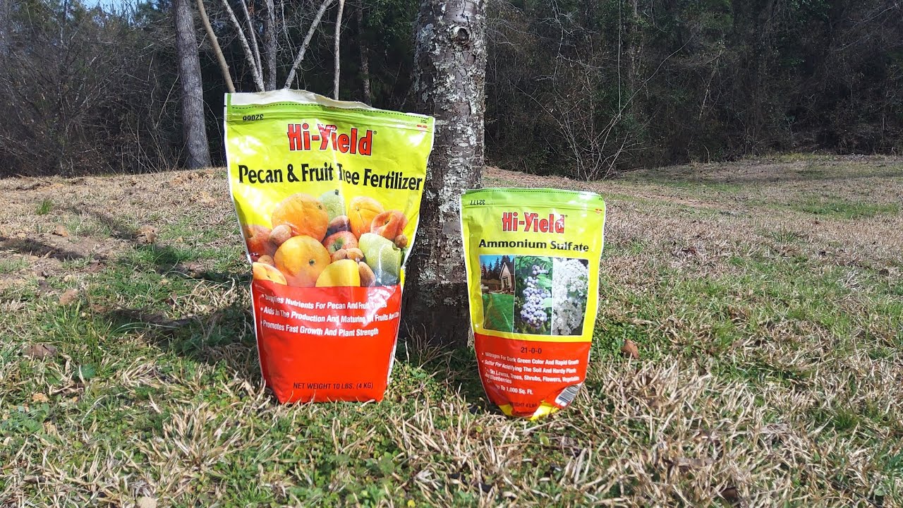 Удобрение наших фруктовых деревьев 10.02.2026