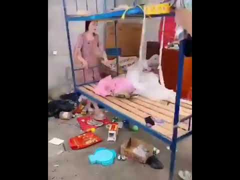 الزوجه اليابانيه