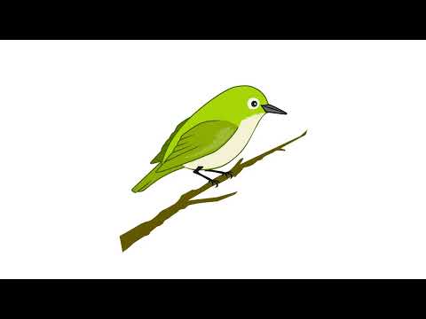 星を盗んだ少女 ／クロノクロス
