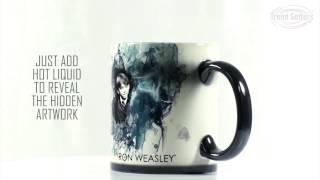 World of Harry Potter (Ron) Morphing Mugs Heat-Sensitive Mug