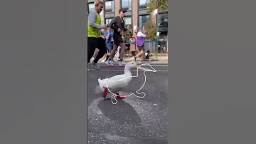 Impossible Pause Game 2 Duck Running 