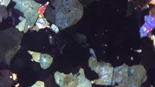 Tourmaline au microscope polarisant (LPA)