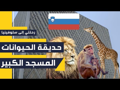 فيديو: حديقة حيوان في ليوبليانا