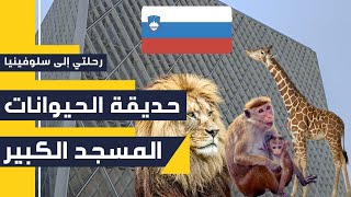 فلوك السفر 1: ️ زيارة عاصمة دولة سلوفينيا -مسجد ليوبليانا -حديقة الحيوانات ?