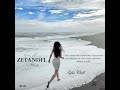 SAFIN CHILL - Mix № 20 - ZETANDEL Part 1 (Chillout Mix 2020)