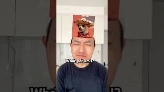 Comment what pet you are 🤓👀👉 #trending #funny #duet #shorts #fyp