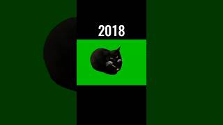 The Most Legendary Cat Memes (Then Vs Now) 💔😥