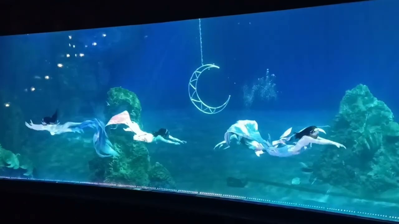 花蓮海洋公園-美人魚秀🧜‍♀️