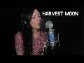 Harvest Moon (Neil Young), Helena Cinto cover