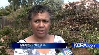 It's official; 4 tornados touched down in our area
