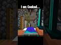 Minecraft Cooked #minecraft #shorts
