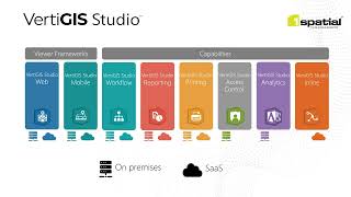 VertiGIS Studio WRaP Webinar screenshot 5