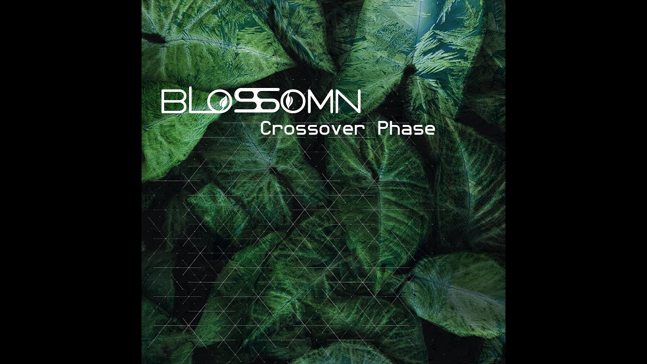 Watch Blossomn - Transience on YouTube Watch Blossomn - Transience on YouTube