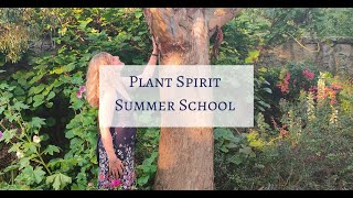 What we'll be up to at Plant Spirit Summer School
