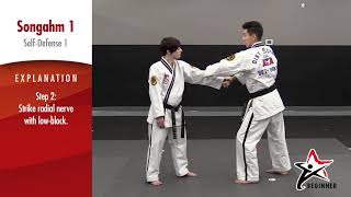 Songahm 1   SelfDefense1 720p