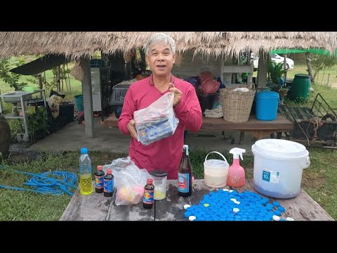 ผลสลากกินแบ่งรัฐบาล วันที่ 1 พย. 2567