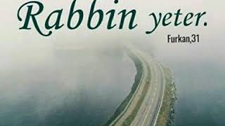 Hz Süleyman A.s Ve Karınca Dini Hikâyeler Misal-I Aşk